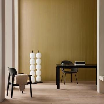 Wandfarbe REED von Caparol Icons